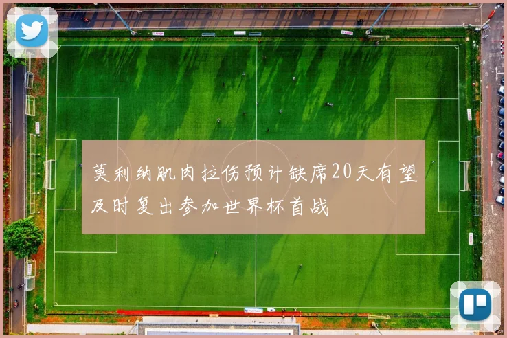 莫利纳肌肉拉伤预计缺席20天有望及时复出参加世界杯首战